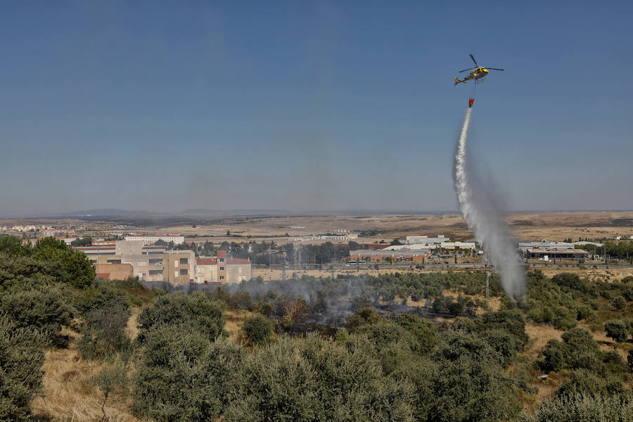Uno de los fuegos se ha producido a unos metros de las viviendas del Residencial Universidad