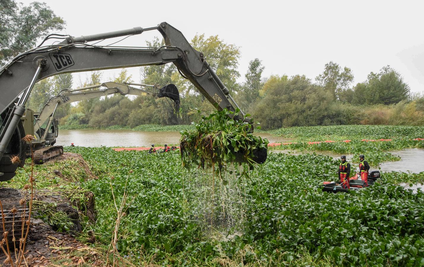 Los militares de la Unidad Militar de Emergencias (UME) ya están en Badajoz para llevar a cabo la retirada de las plantas del camalote en el río Guadiana. Las labores de extracción comenzarán por el cauce del río a su paso por la capital pacense aunque se extenderán a lo largo de 176 kilómetros de recorrido.