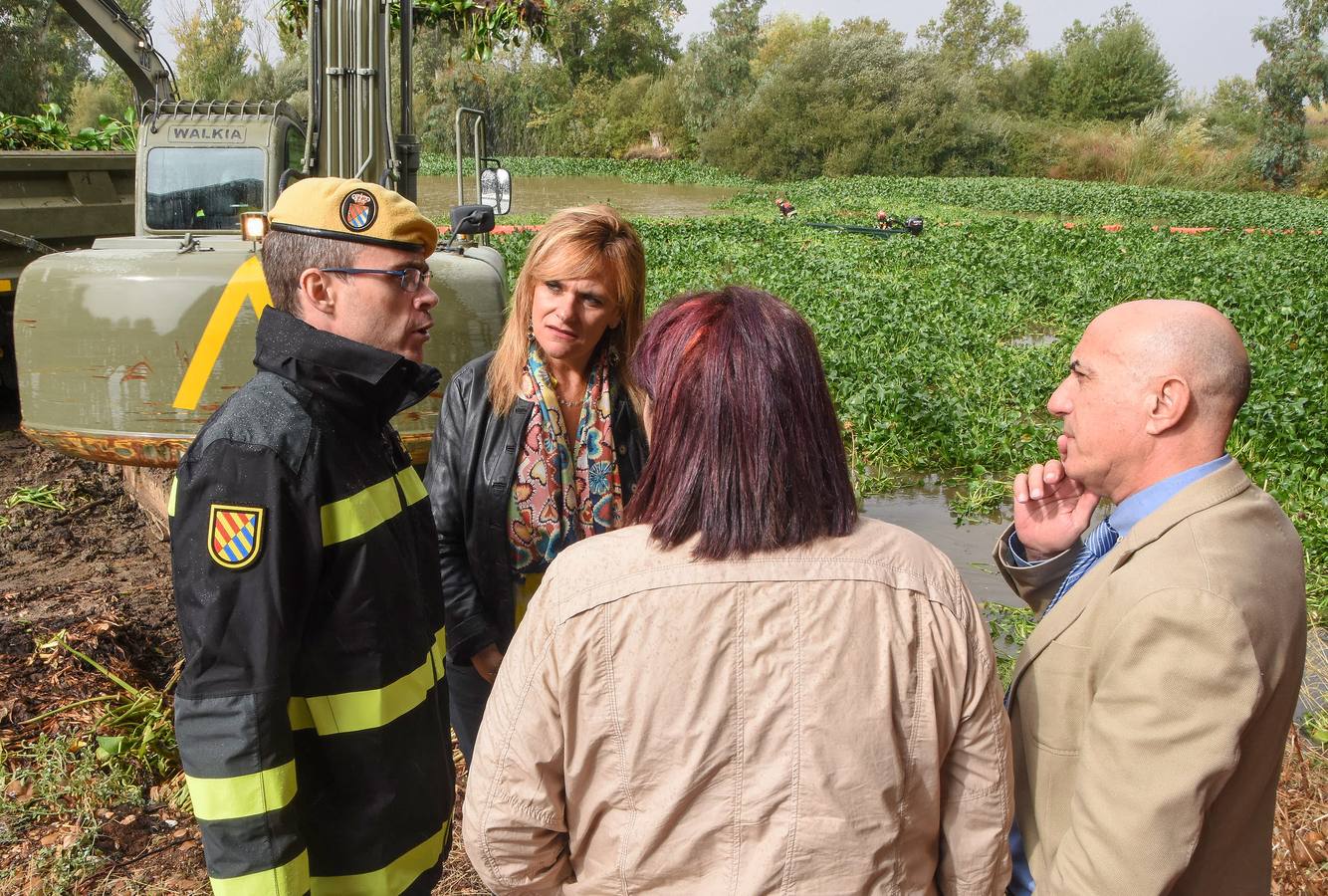 Los militares de la Unidad Militar de Emergencias (UME) ya están en Badajoz para llevar a cabo la retirada de las plantas del camalote en el río Guadiana. Las labores de extracción comenzarán por el cauce del río a su paso por la capital pacense aunque se extenderán a lo largo de 176 kilómetros de recorrido.