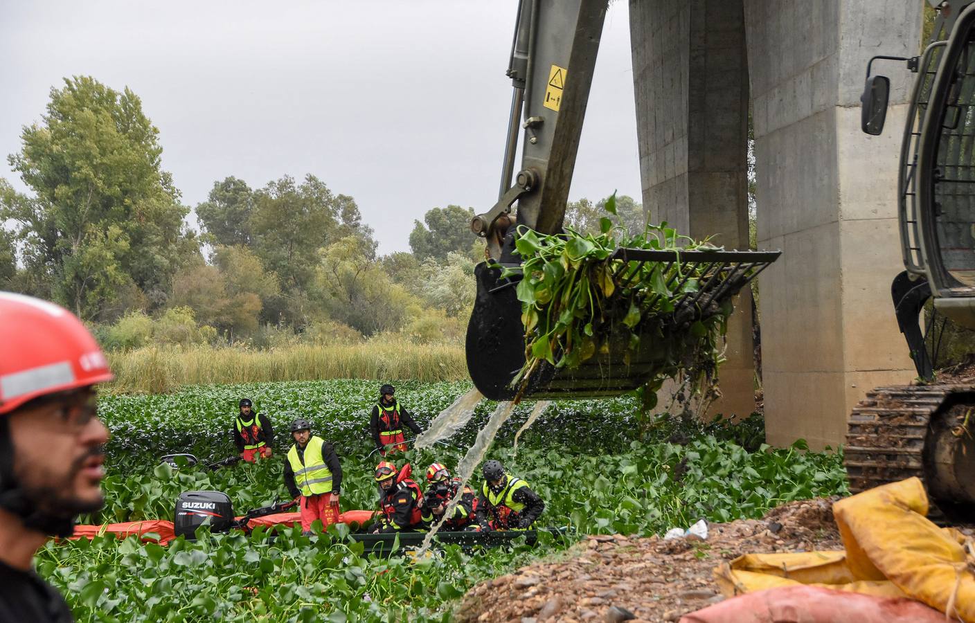 Los militares de la Unidad Militar de Emergencias (UME) ya están en Badajoz para llevar a cabo la retirada de las plantas del camalote en el río Guadiana. Las labores de extracción comenzarán por el cauce del río a su paso por la capital pacense aunque se extenderán a lo largo de 176 kilómetros de recorrido.