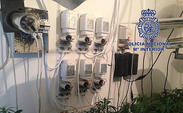 Instalación eléctrica en la plantación de Mérida.