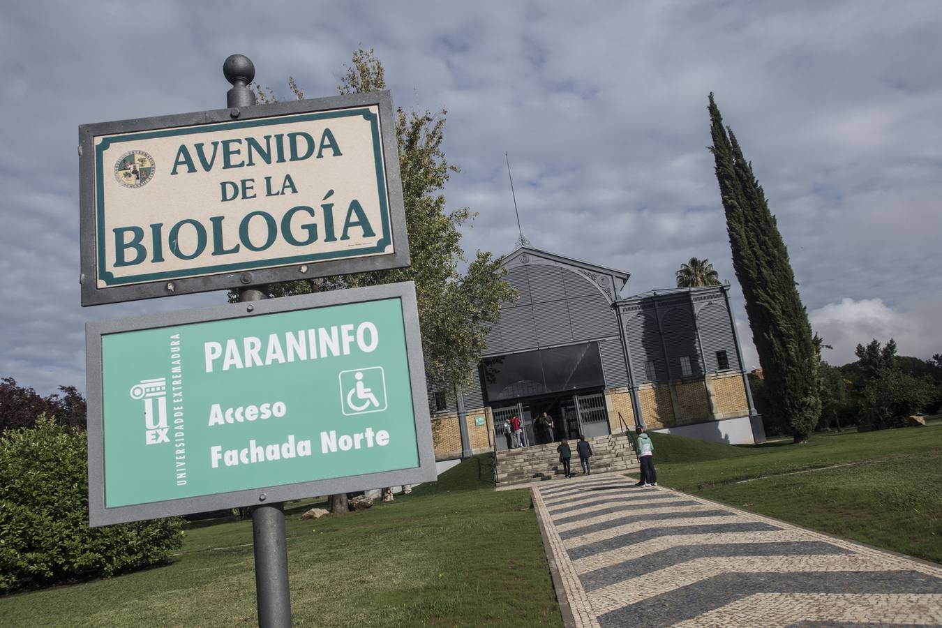 En el acto de Apertura Solemne del Curso Académico 2018-19« de la UEx, han asistido el presidente de la Junta de Extremadura, Guillermo Fernández Vara, y el alcalde, Francisco Javier Fragoso. El actual rector de la Uex, Segundo Píriz, que afronta su etapa final al frente de la Universidad regional, ha afirmado que muchos investigadores que trabajan fuera de España »ansían volver al país y no pueden«.