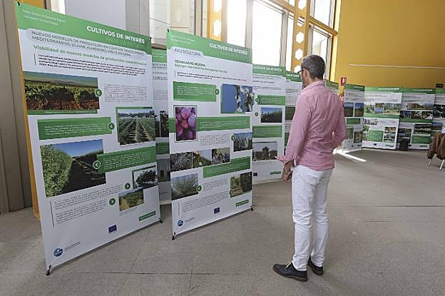 Un hombre observa los paneles de la exposición. :: j. m. romero