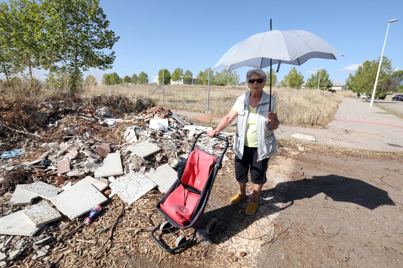 Vecinos y trabajadores de la calle del Palo, situada en la Zona Norte de Mérida y paralela a la avenida de Proserpina, critican «la dejadez » de la zona y piden a los responsables municipales que se hagan cargo de la mejora de esta parte de la ciudad. Se quejan «de los escombros y de todo tipo de enseres que se encuentran en las cunetas, de la basura que hay en el entorno, de las papeleras llenas, del mal asfaltado de las calles y, en general, de la falta de cuidado y atención por parte del Ayuntamiento».
