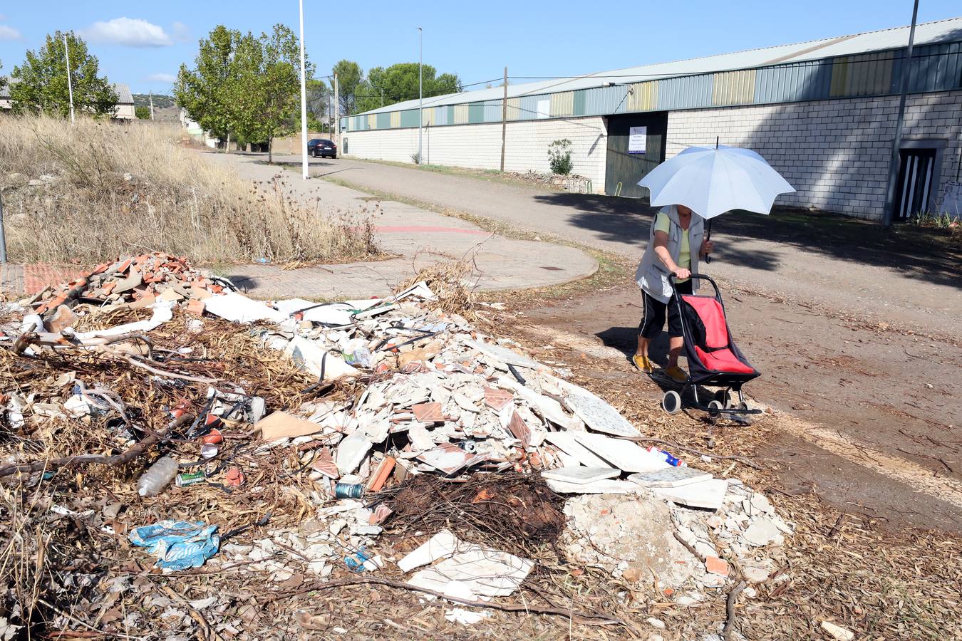 Vecinos y trabajadores de la calle del Palo, situada en la Zona Norte de Mérida y paralela a la avenida de Proserpina, critican «la dejadez » de la zona y piden a los responsables municipales que se hagan cargo de la mejora de esta parte de la ciudad. Se quejan «de los escombros y de todo tipo de enseres que se encuentran en las cunetas, de la basura que hay en el entorno, de las papeleras llenas, del mal asfaltado de las calles y, en general, de la falta de cuidado y atención por parte del Ayuntamiento».