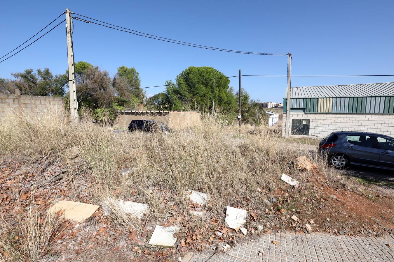 Vecinos y trabajadores de la calle del Palo, situada en la Zona Norte de Mérida y paralela a la avenida de Proserpina, critican «la dejadez » de la zona y piden a los responsables municipales que se hagan cargo de la mejora de esta parte de la ciudad. Se quejan «de los escombros y de todo tipo de enseres que se encuentran en las cunetas, de la basura que hay en el entorno, de las papeleras llenas, del mal asfaltado de las calles y, en general, de la falta de cuidado y atención por parte del Ayuntamiento».