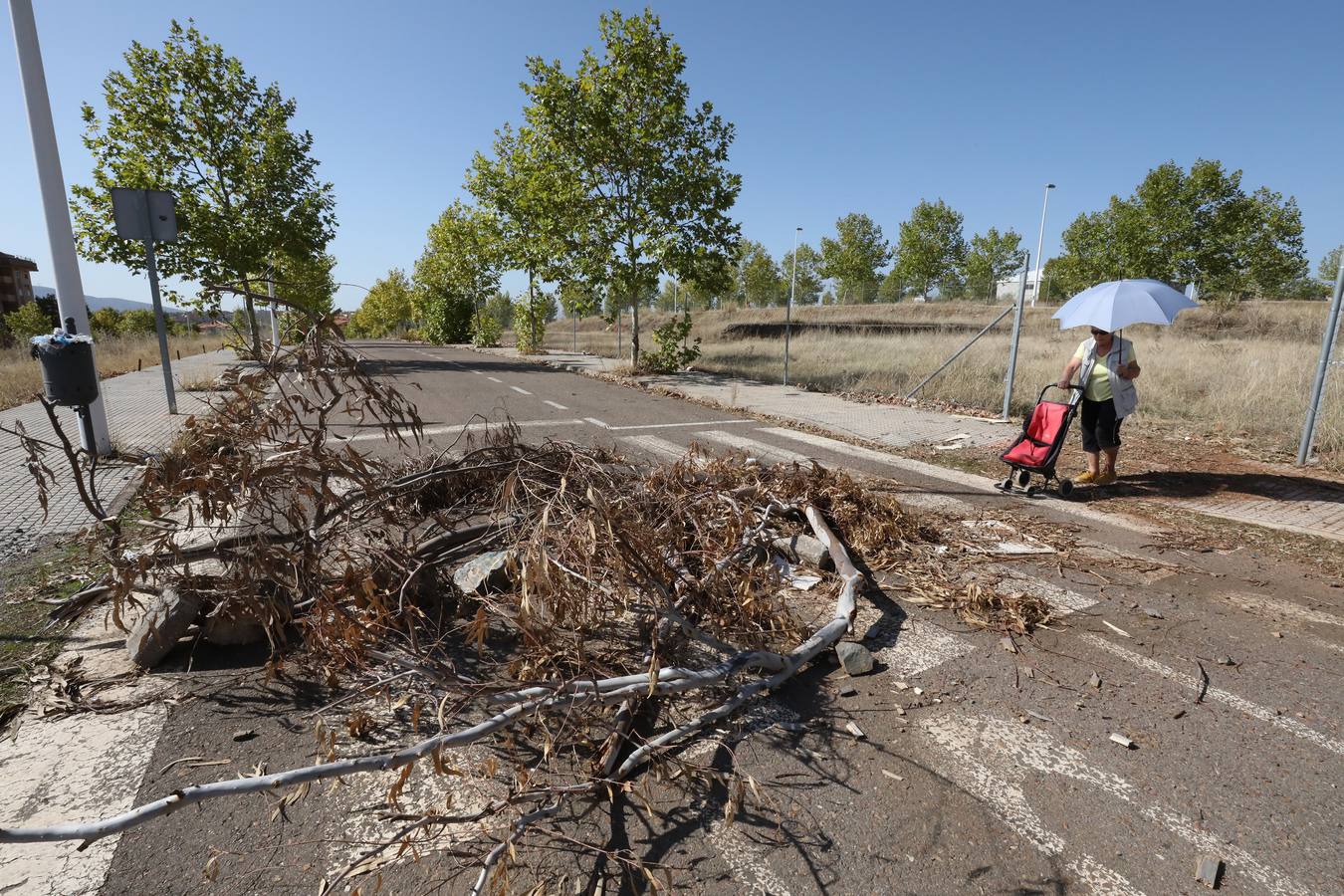 Vecinos y trabajadores de la calle del Palo, situada en la Zona Norte de Mérida y paralela a la avenida de Proserpina, critican «la dejadez » de la zona y piden a los responsables municipales que se hagan cargo de la mejora de esta parte de la ciudad. Se quejan «de los escombros y de todo tipo de enseres que se encuentran en las cunetas, de la basura que hay en el entorno, de las papeleras llenas, del mal asfaltado de las calles y, en general, de la falta de cuidado y atención por parte del Ayuntamiento».