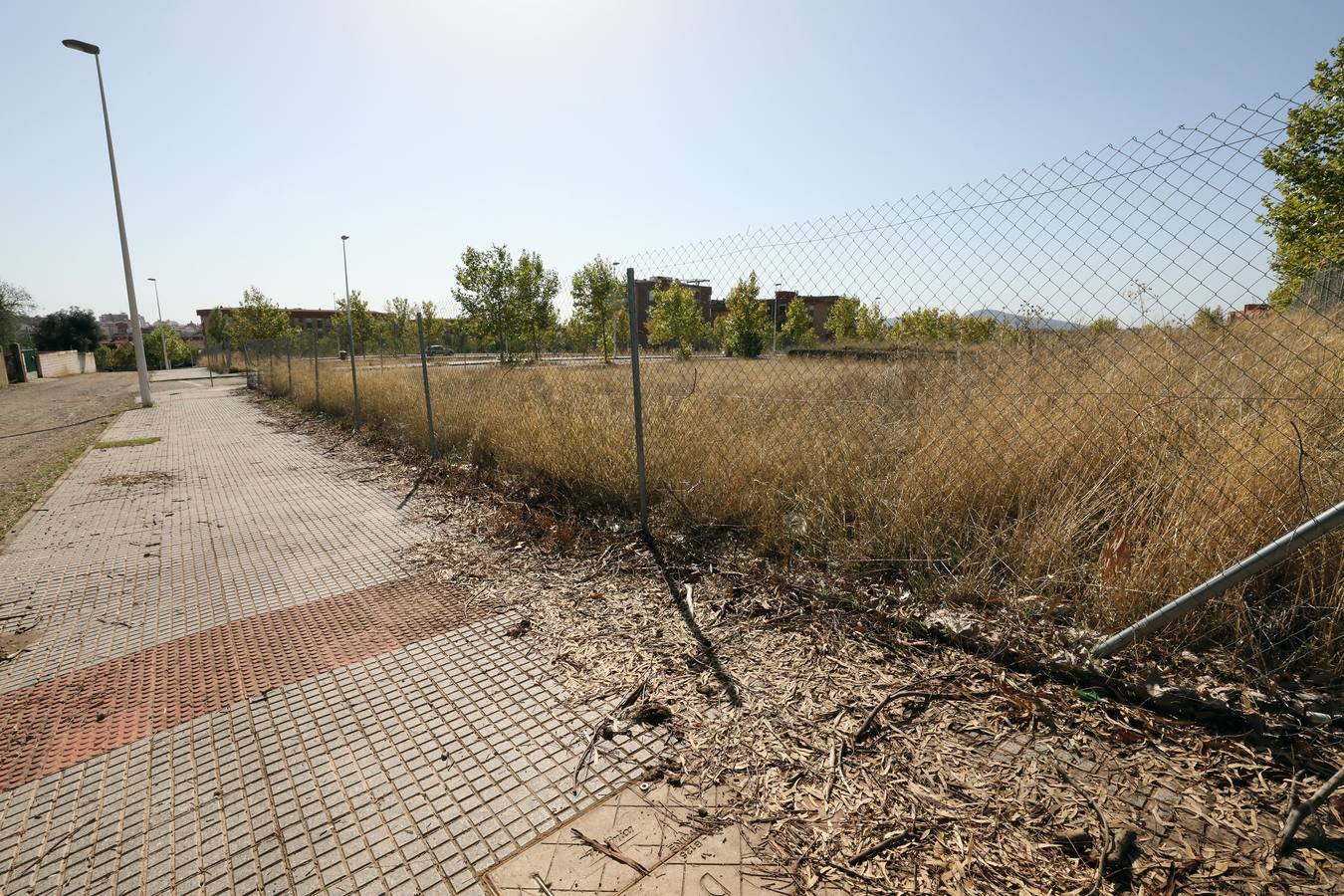 Vecinos y trabajadores de la calle del Palo, situada en la Zona Norte de Mérida y paralela a la avenida de Proserpina, critican «la dejadez » de la zona y piden a los responsables municipales que se hagan cargo de la mejora de esta parte de la ciudad. Se quejan «de los escombros y de todo tipo de enseres que se encuentran en las cunetas, de la basura que hay en el entorno, de las papeleras llenas, del mal asfaltado de las calles y, en general, de la falta de cuidado y atención por parte del Ayuntamiento».