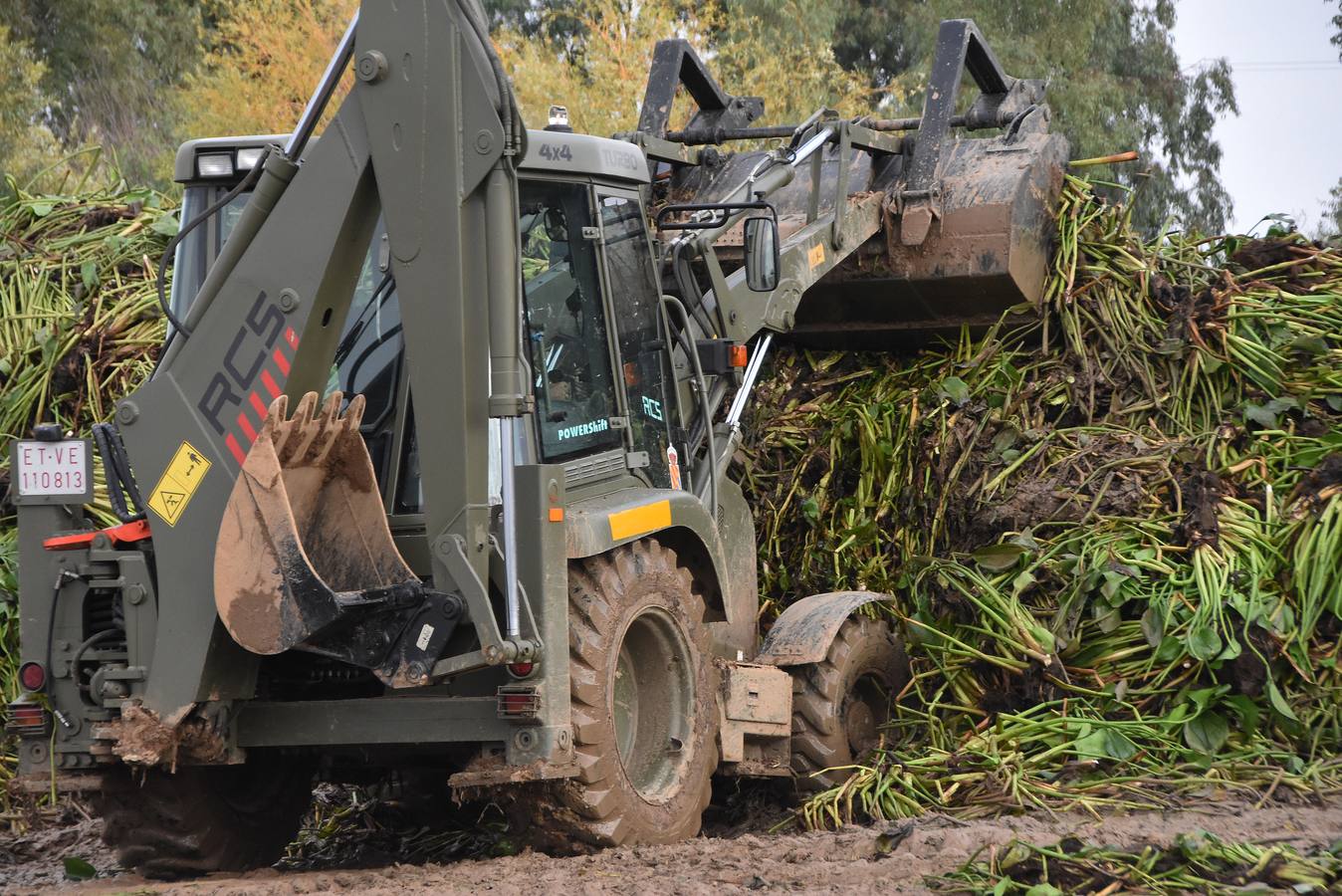 La Unidad Militar de Emergencia continúa con los trabajos de retirada de camalote a la altura de la desembocadura del río Gévora