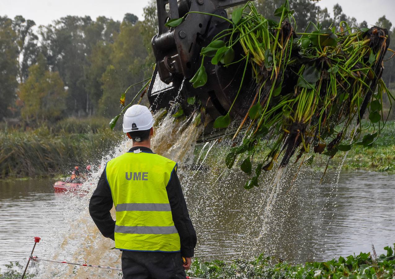 La Unidad Militar de Emergencia continúa con los trabajos de retirada de camalote a la altura de la desembocadura del río Gévora