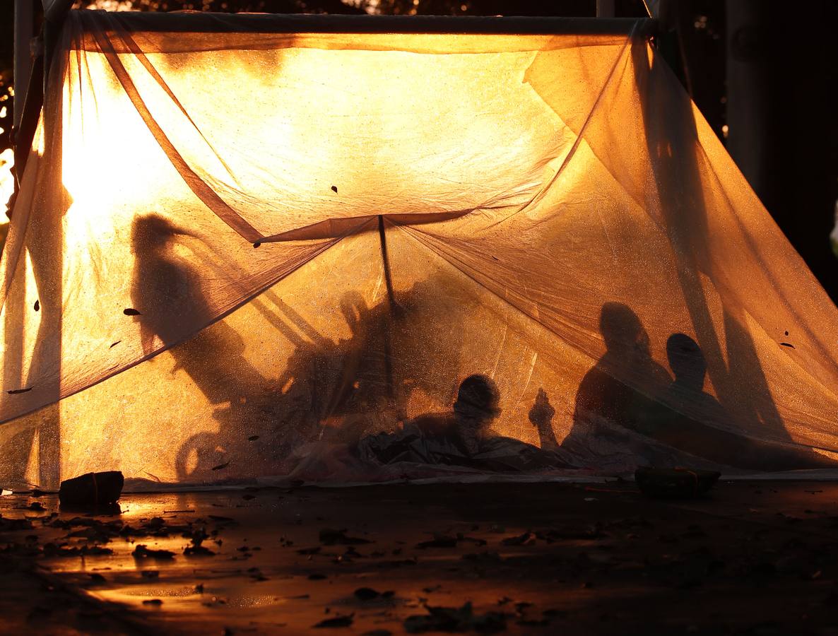 Migrantes hondureños descansan en la población de Huxtla, en el estado de Chiapas (México). Más de 7.000 personas forman parte de la caravana de migrantes centroamericanos que avanza rumbo a Estados Unidos, según una estimación ofrecida por Naciones Unidas. «En este momento, se estima que la caravana incluye a 7.233 personas, muchas de las cuales tienen intención de continuar marchando hacia el norte», dijo el portavoz Farhan Haq durante la conferencia de prensa diaria de la ONU.