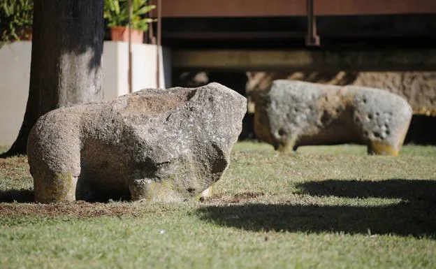 Verracos de piedra expuestos en el jardín del Museo de Cáceres:: ARMANDO