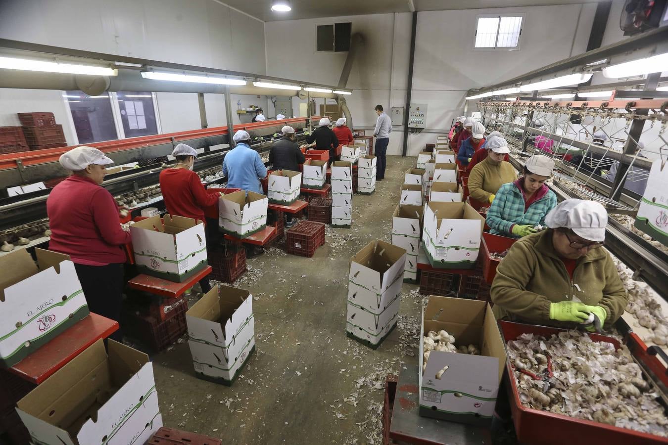 Los ajeros de pueblo tratan de rentabilizar sun plantaciones y buscan parcelas nuevas con agua fuera de la región. 