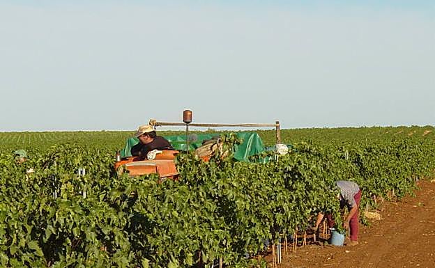 Un nuevo paso para las tierras de regadío en Monterrubio de la Serena