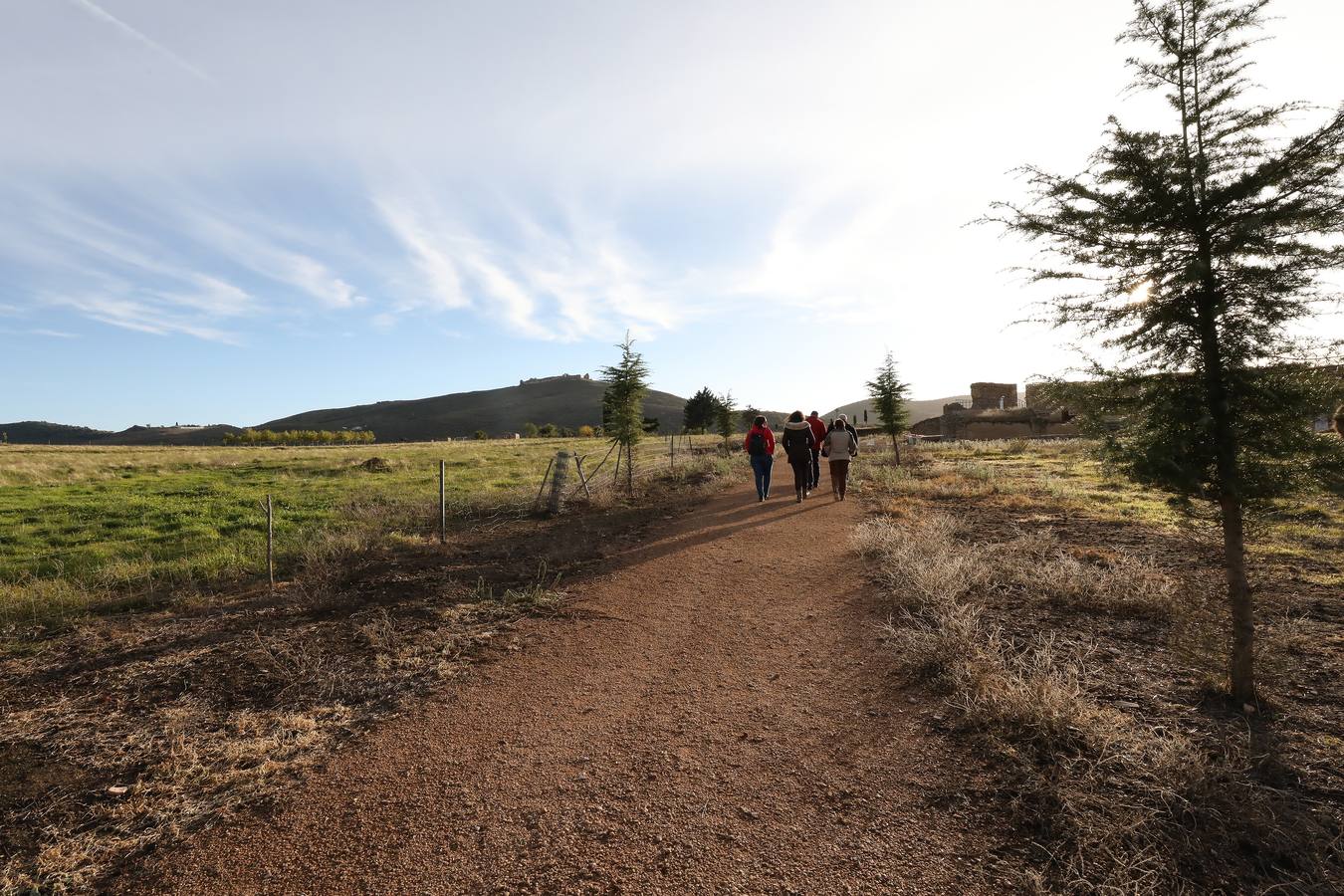 La falta de vigilancia permanente en la antigua ciudad romana, que solo está excavada en una décima parte, hace que haya sido expoliada ocho veces en los últimos once años. Casas de Reina, con 194 habitantes, reclama auxilio. Cincuenta y cuatro es el número de agujeros que sangran el suelo en el que está, gran parte oculta, la antigua ciudad romana de Regina Turdulorum, a 105 kilómetros de Mérida y a unos 150 de Córdoba. Son las perforaciones realizadas por los expoliadores que la pasada semana se dieron una vuelta, como suelen hacer con frecuencia, por la joya arqueológica de la Campiña Sur extremeña prácticamente inédita.