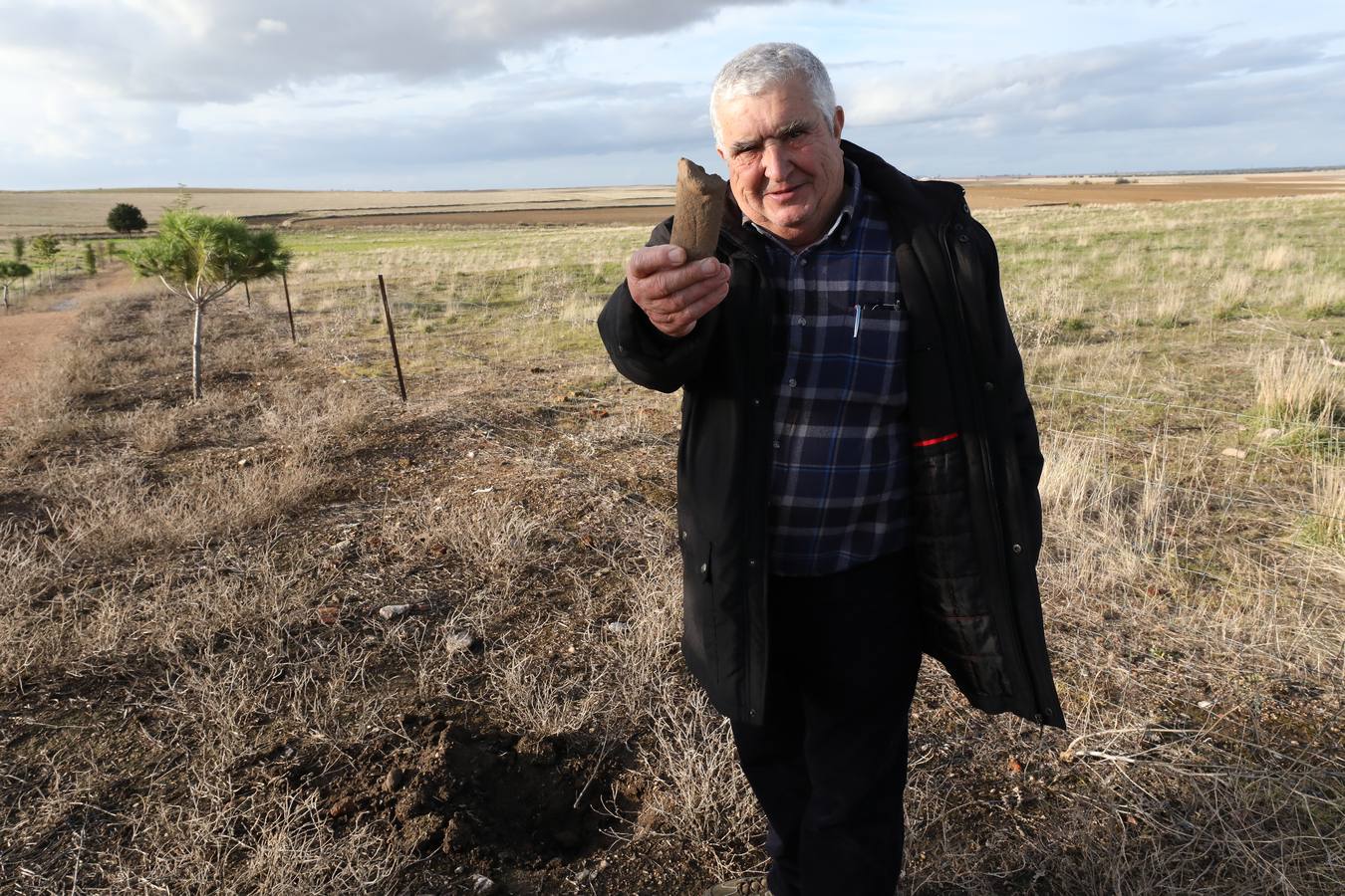 La falta de vigilancia permanente en la antigua ciudad romana, que solo está excavada en una décima parte, hace que haya sido expoliada ocho veces en los últimos once años. Casas de Reina, con 194 habitantes, reclama auxilio. Cincuenta y cuatro es el número de agujeros que sangran el suelo en el que está, gran parte oculta, la antigua ciudad romana de Regina Turdulorum, a 105 kilómetros de Mérida y a unos 150 de Córdoba. Son las perforaciones realizadas por los expoliadores que la pasada semana se dieron una vuelta, como suelen hacer con frecuencia, por la joya arqueológica de la Campiña Sur extremeña prácticamente inédita.