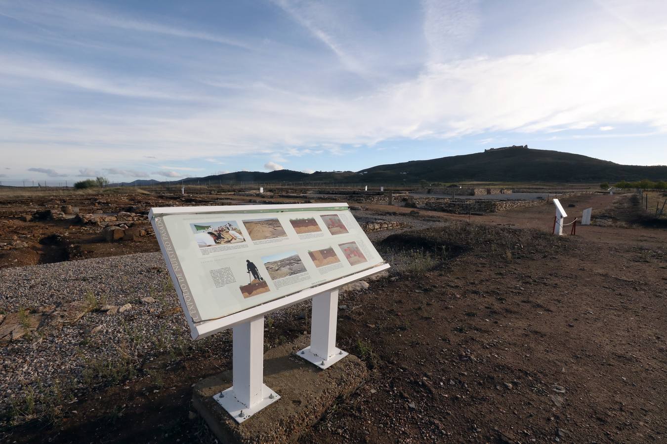 La falta de vigilancia permanente en la antigua ciudad romana, que solo está excavada en una décima parte, hace que haya sido expoliada ocho veces en los últimos once años. Casas de Reina, con 194 habitantes, reclama auxilio. Cincuenta y cuatro es el número de agujeros que sangran el suelo en el que está, gran parte oculta, la antigua ciudad romana de Regina Turdulorum, a 105 kilómetros de Mérida y a unos 150 de Córdoba. Son las perforaciones realizadas por los expoliadores que la pasada semana se dieron una vuelta, como suelen hacer con frecuencia, por la joya arqueológica de la Campiña Sur extremeña prácticamente inédita.