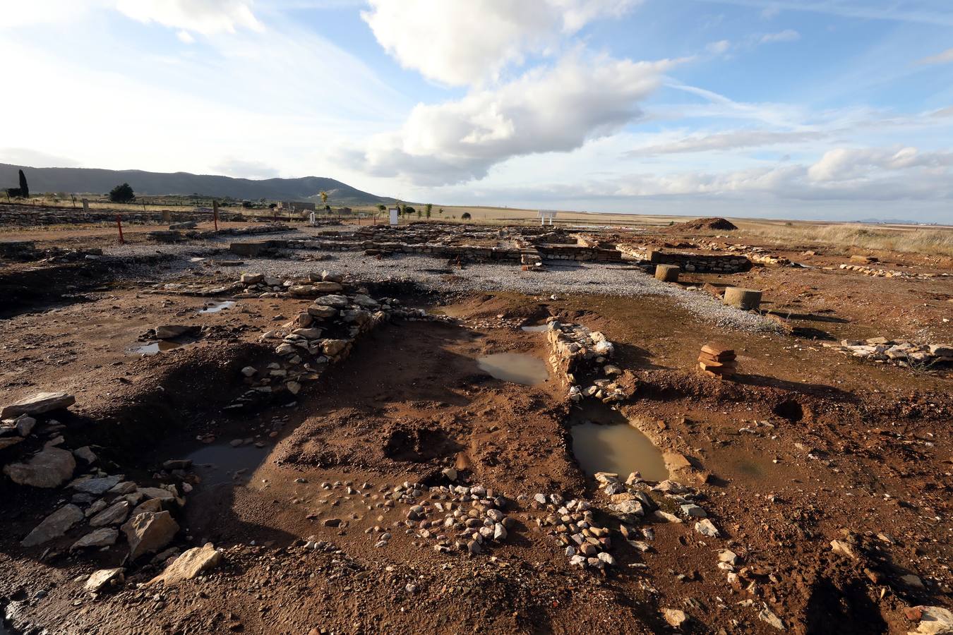 La falta de vigilancia permanente en la antigua ciudad romana, que solo está excavada en una décima parte, hace que haya sido expoliada ocho veces en los últimos once años. Casas de Reina, con 194 habitantes, reclama auxilio. Cincuenta y cuatro es el número de agujeros que sangran el suelo en el que está, gran parte oculta, la antigua ciudad romana de Regina Turdulorum, a 105 kilómetros de Mérida y a unos 150 de Córdoba. Son las perforaciones realizadas por los expoliadores que la pasada semana se dieron una vuelta, como suelen hacer con frecuencia, por la joya arqueológica de la Campiña Sur extremeña prácticamente inédita.