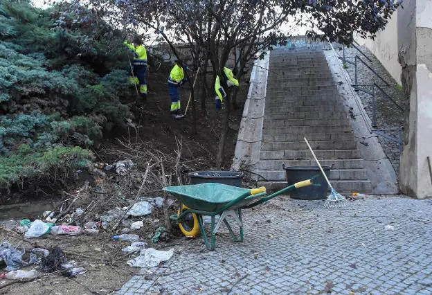 Trabajos de limpieza en Puerta Pilar. :: casimiro moreno