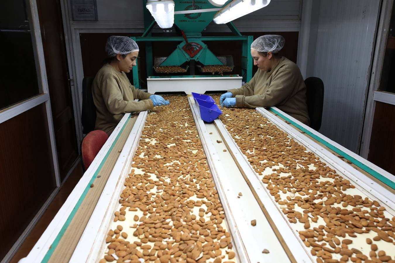 El cultivo de la almendra no alcanza su techo. La rentabilidad sigue siendo muy elevada debido a la alta demanda de un mercado que, además, aprecia singularmente la calidad de las variedades que se desarrollan en Extremadura.