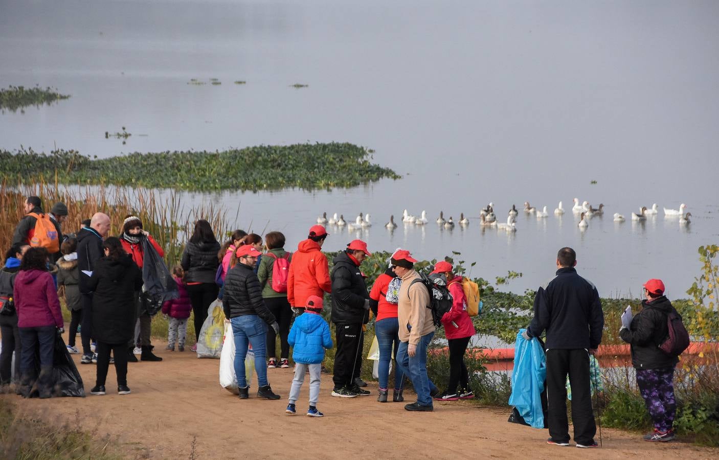La Consejería de Media Ambiente organizó ayer una jornada con 200 voluntarios que limpiaron las orillas del río a su paso por Badajoz. Los participantes en esta acción se encontraron botellas de alcohol y envases de plástico bajo el puente Real. Los recogieron y dejaron la zona completamente despejada.