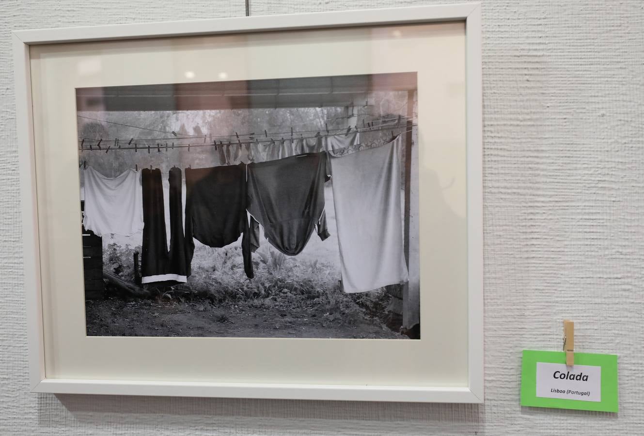 El Centro Cultural 'Santo Domingo' de la Fundación CB en Mérida alberga desde el lunes, 3 de diciembre, la exposición 'La sonrisa de los colores', de Javier Rodríguez Rubio. La muestra, que se puede visitar hasta el próximo día 30, se desarrolla a favor de la Asociación Española Contra el Cáncer (AECC). El horario de la exposición es de lunes a sábado, en horario de 10:00 a 13:30 horas y de 18:00 a 21:00 horas. Mientras, los domingos permanecerá abierta de 10:00 a 13:30 horas.