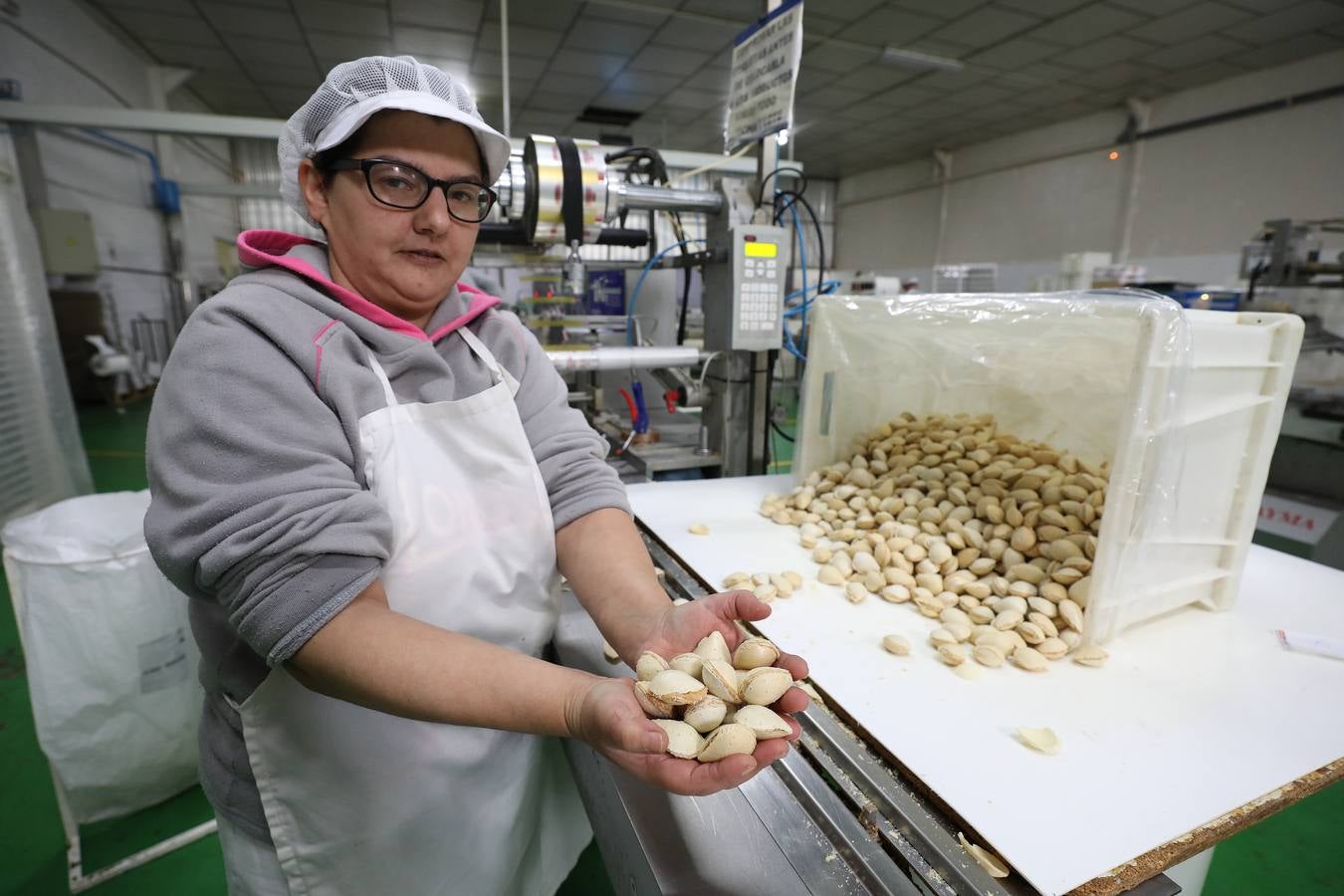 El cultivo de la almendra no alcanza su techo. La rentabilidad sigue siendo muy elevada debido a la alta demanda de un mercado que, además, aprecia singularmente la calidad de las variedades que se desarrollan en Extremadura.