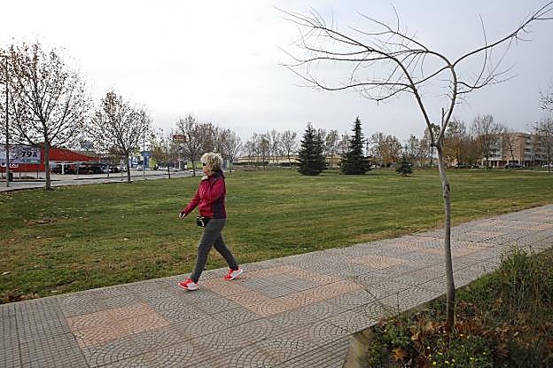Una de las parcelas que el Ayuntamiento se propone enajenar en la zona de Casa Plata y Vistahermosa. :: armando méndez