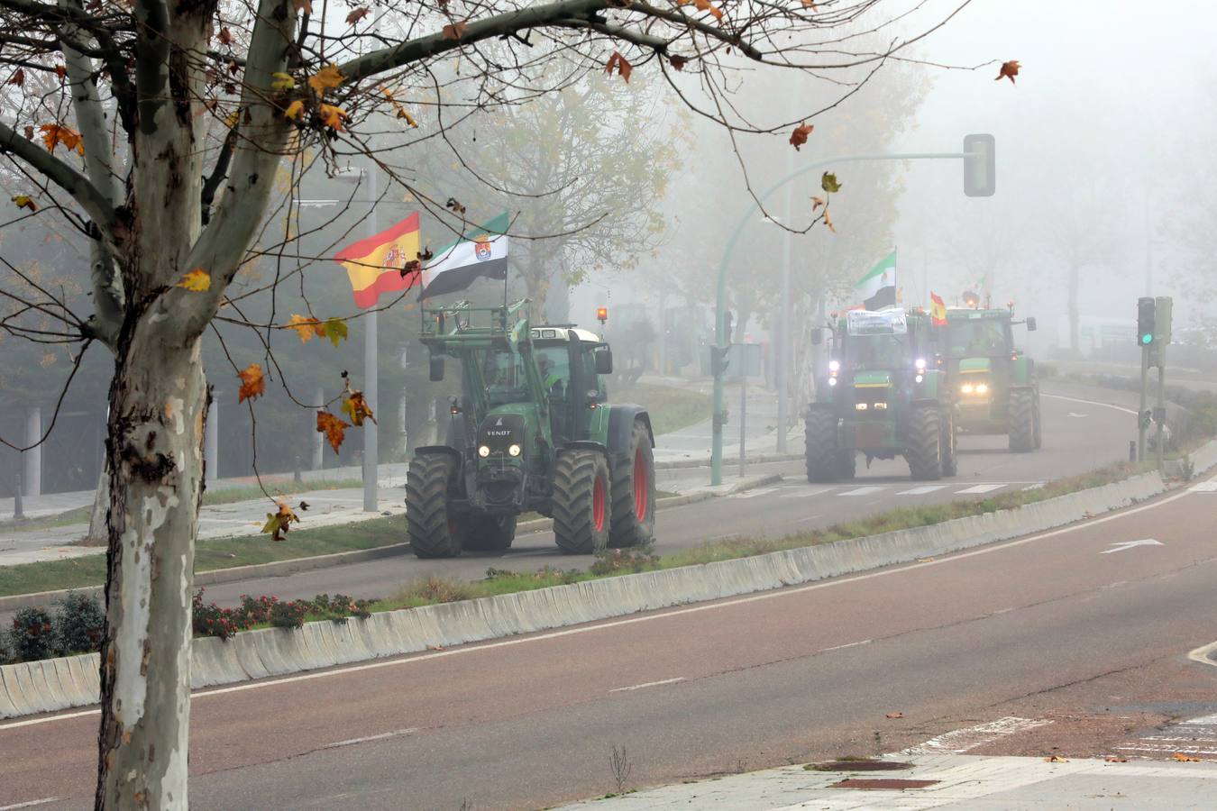 La caravana, procedente de las vegas Altas, ha pedido reunión urgente con la consejera García Bernal.