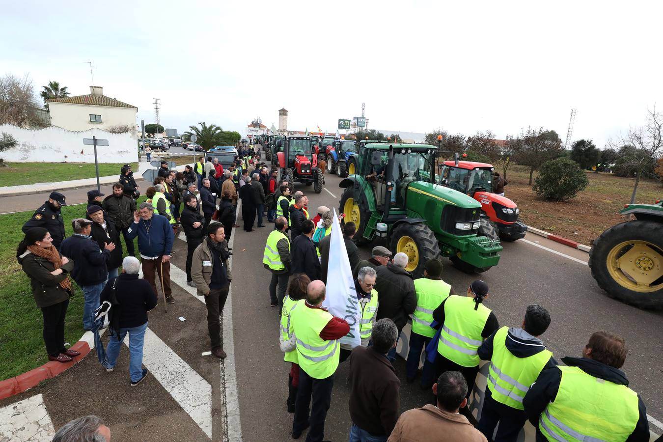 Unos 200 tractores, según los cálculos de la propia organización, han participado en la protesta, llegados desde Montijo, Miajadas y Almendralejo, provocando una importante alteración en el tráfico de la ciudad, especialmente sobre las 14,00 horas, provocando atascos la avenida Reina Sofía y afectando también al centro de la ciudad.