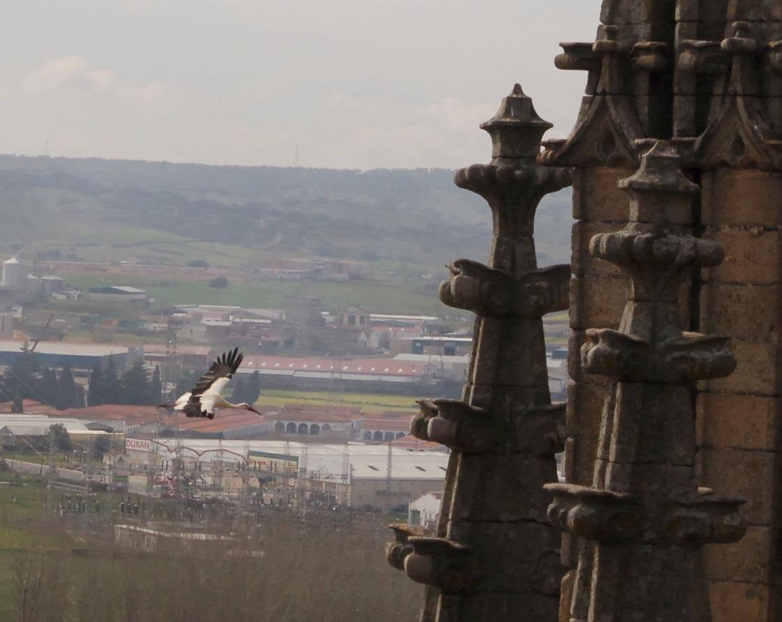 A Plasencia se la considera la capital del norte de Extremadura. Es un destino turístico destacable por su historia y monumentos. Su situación geográfica es ideal para conocer las comarcas del norte.