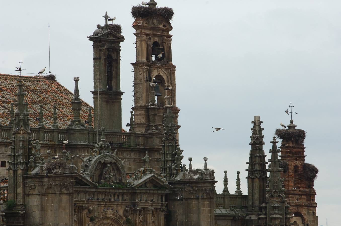 A Plasencia se la considera la capital del norte de Extremadura. Es un destino turístico destacable por su historia y monumentos. Su situación geográfica es ideal para conocer las comarcas del norte.