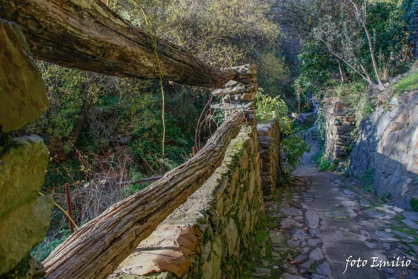 Robledillo de Gata está ubicado en uno de los valles más profundos de Sierra de Gata. Esto es lo que ha permitido que se mantenga su arquitectura tradicional. Con menos de 100 habitantes Robledillo ha sabido sacarle partido a su personalidad y autenticidad como localidad fronteriza de la comarca de las Hurdes.