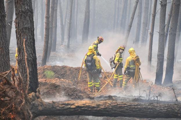 El incendio destruyó 8.000 hectáreas. :: hoy