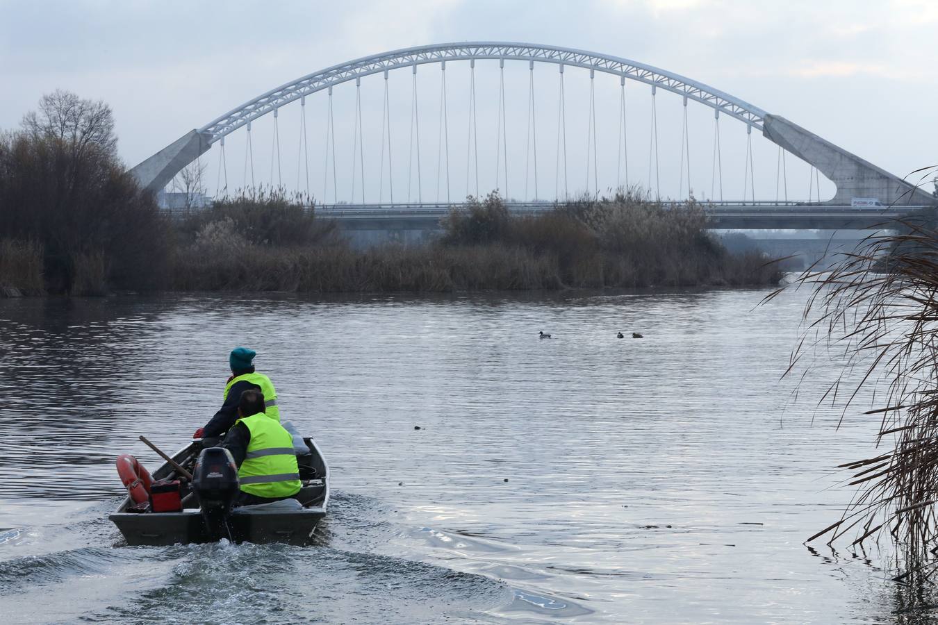 El vaciado de la presa de Montijo facilita la retirada de 2 millones de kilos de camalote al día