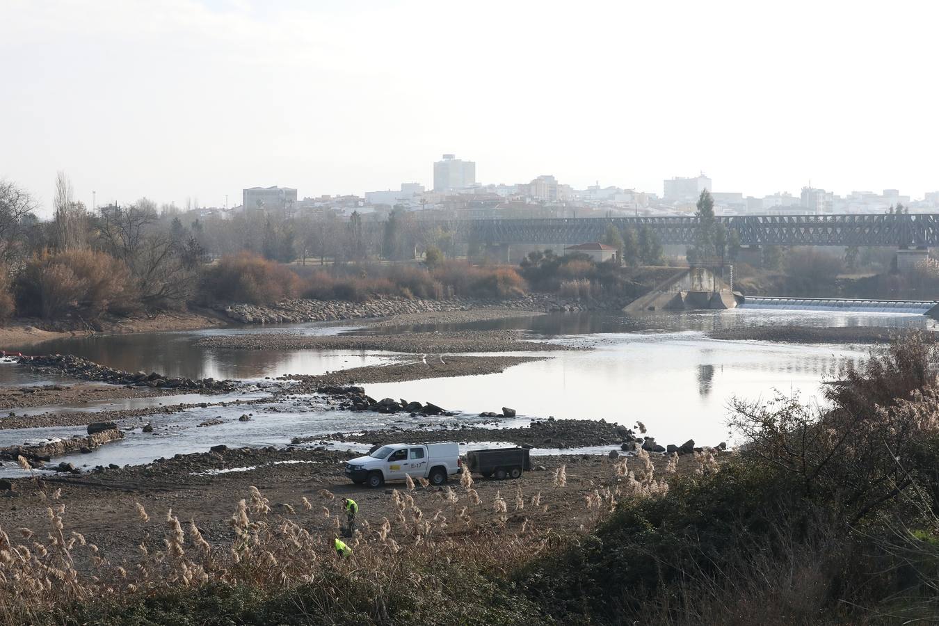 El vaciado de la presa de Montijo facilita la retirada de 2 millones de kilos de camalote al día