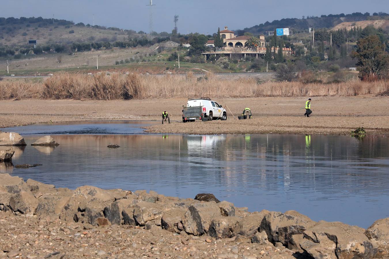 El vaciado de la presa de Montijo facilita la retirada de 2 millones de kilos de camalote al día