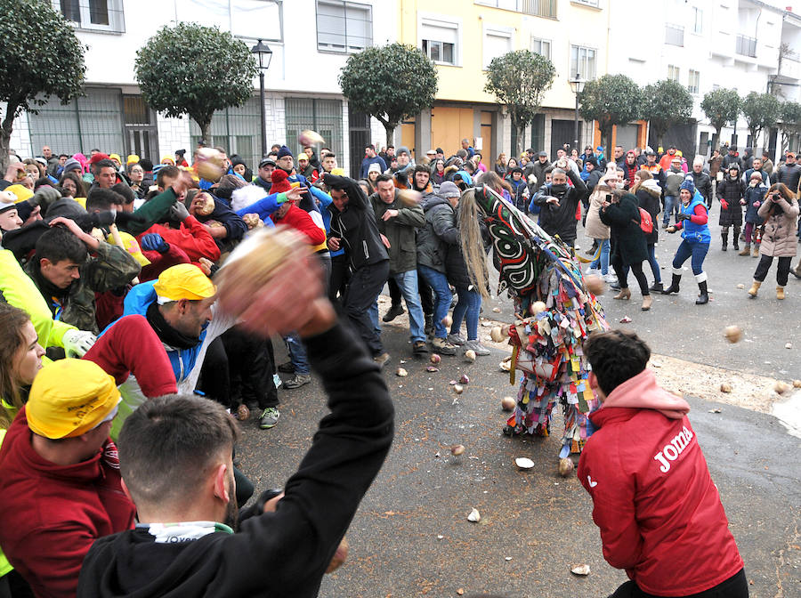 Fotos: Lluvia de nabos en Piornal para recibir al Jarramplas