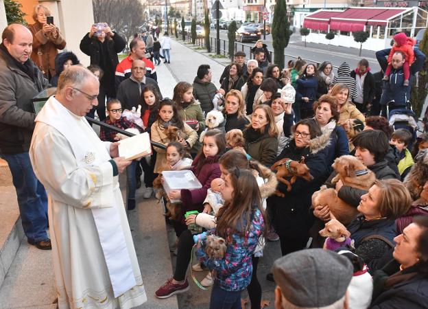 La parroquia de San Ignacio de Loyola recupera la tradición de la bendición  de mascotas en Coria 