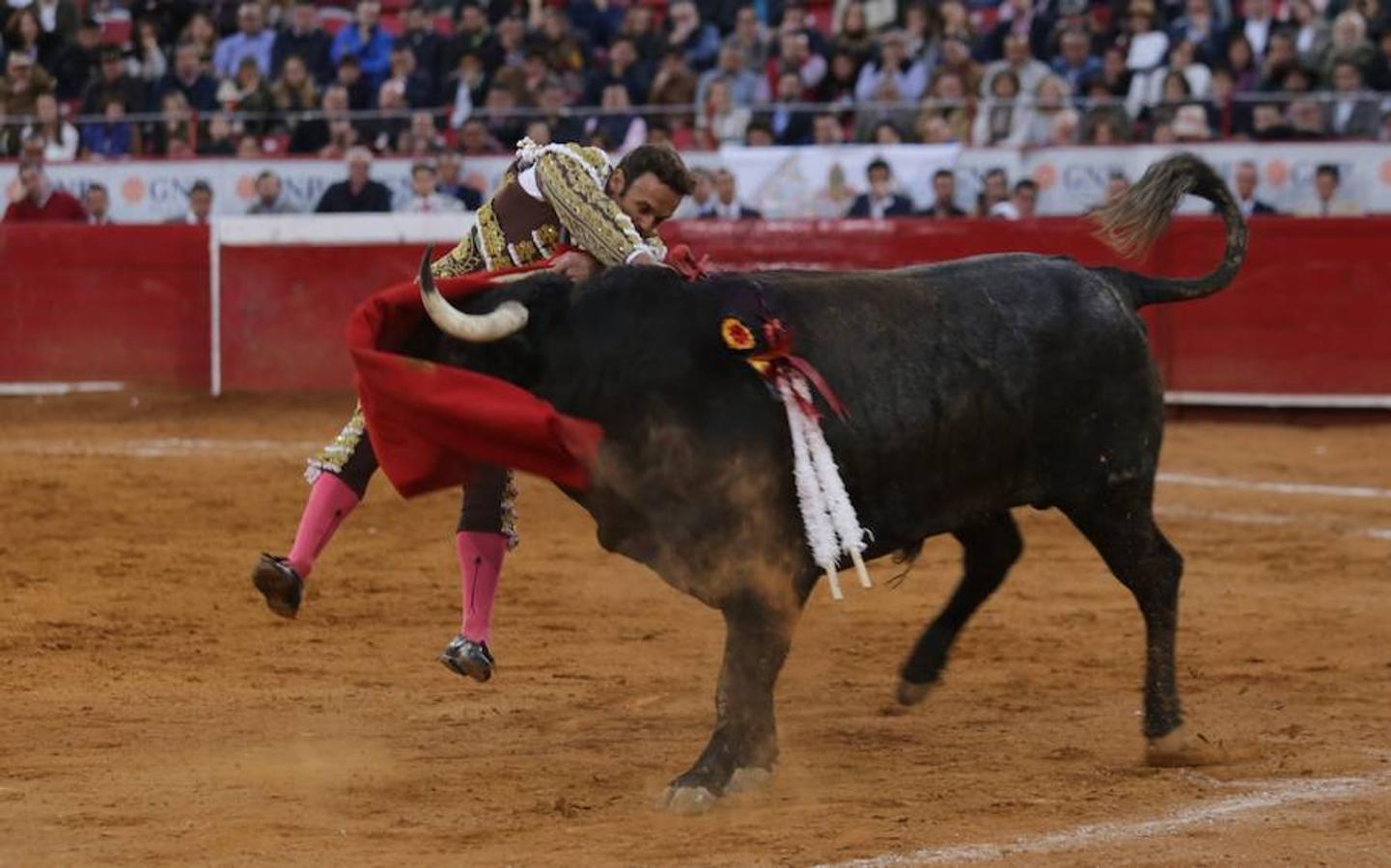 El diestro extremeño vuelve a cortar dos orejas tras salir a hombros del mismo coso el pasado 12 de diciembre