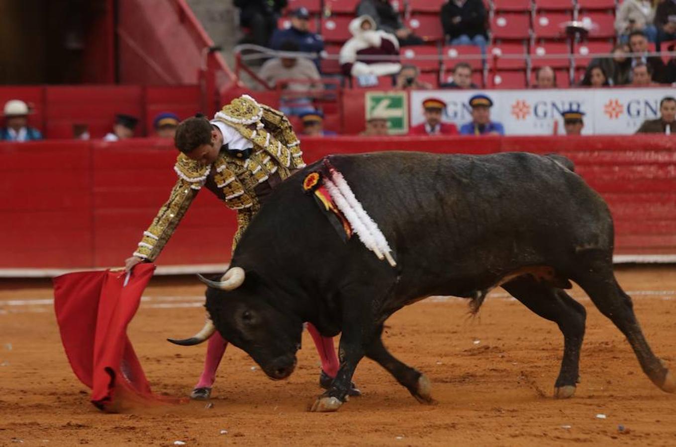 El diestro extremeño vuelve a cortar dos orejas tras salir a hombros del mismo coso el pasado 12 de diciembre