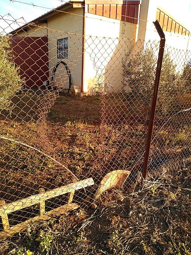 Valla rota que rodea una de las naves agrícolas en Bienvenida. :: hoy