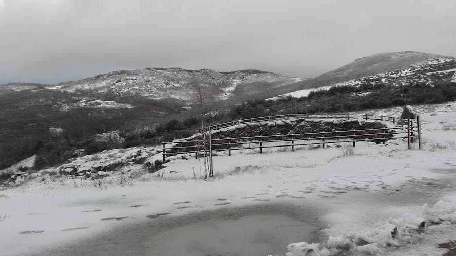 Llega a Extremadura la primera nevada de 2019. Los municipios de La Garganta (a 1124 metros de altitud) y Piornal (a 1.175 metros de altitud) han recibido los primeros copos de nieve. La Aemet mantiene activa hasta este sábado la alerta amarilla por nevadas en todo en el norte de la región. 