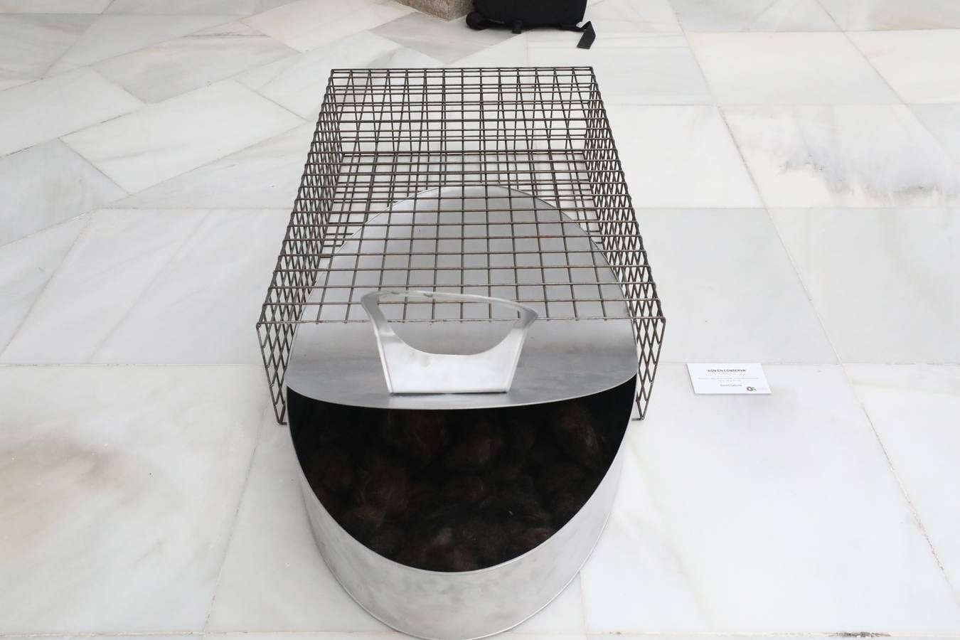 Hasta el 26 de febrero, se podrá disfrutar de las 30 de obras que componen la exposición itinerante de la VII edición de Obra Abierta en el Patio Noble de la Asamblea de Extremadura.