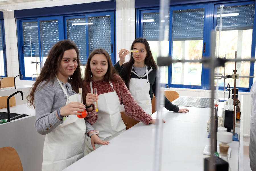 Varios centros escolares de la ciudad celebraron ayer el Día de la Mujer y la Niña en la Ciencia con numerosas actividades para dar visibilidad al ámbito femenino en las diversas ramas que tiene la ciencia. Los colegios e institutos de Mérida dieron la voz ayer a las mujeres para demostrar que están ahí.