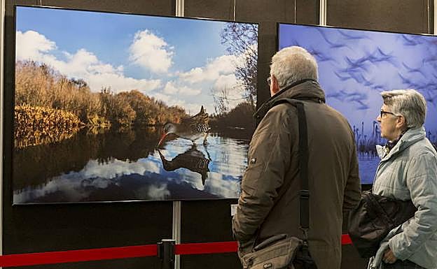 La FIO espera atraer a Monfragüe a 15.000 visitantes