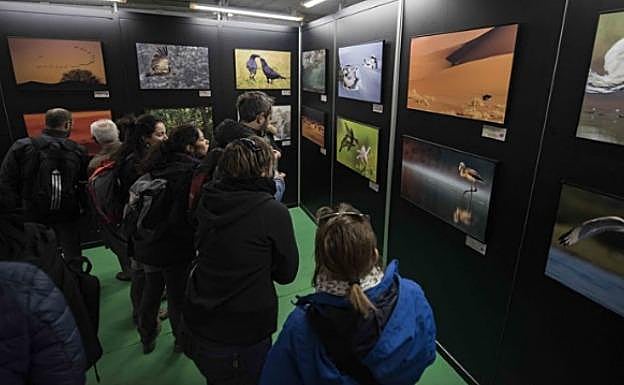 Visitantes en una eposición de FIO:: TURISMO EXTREMADURA