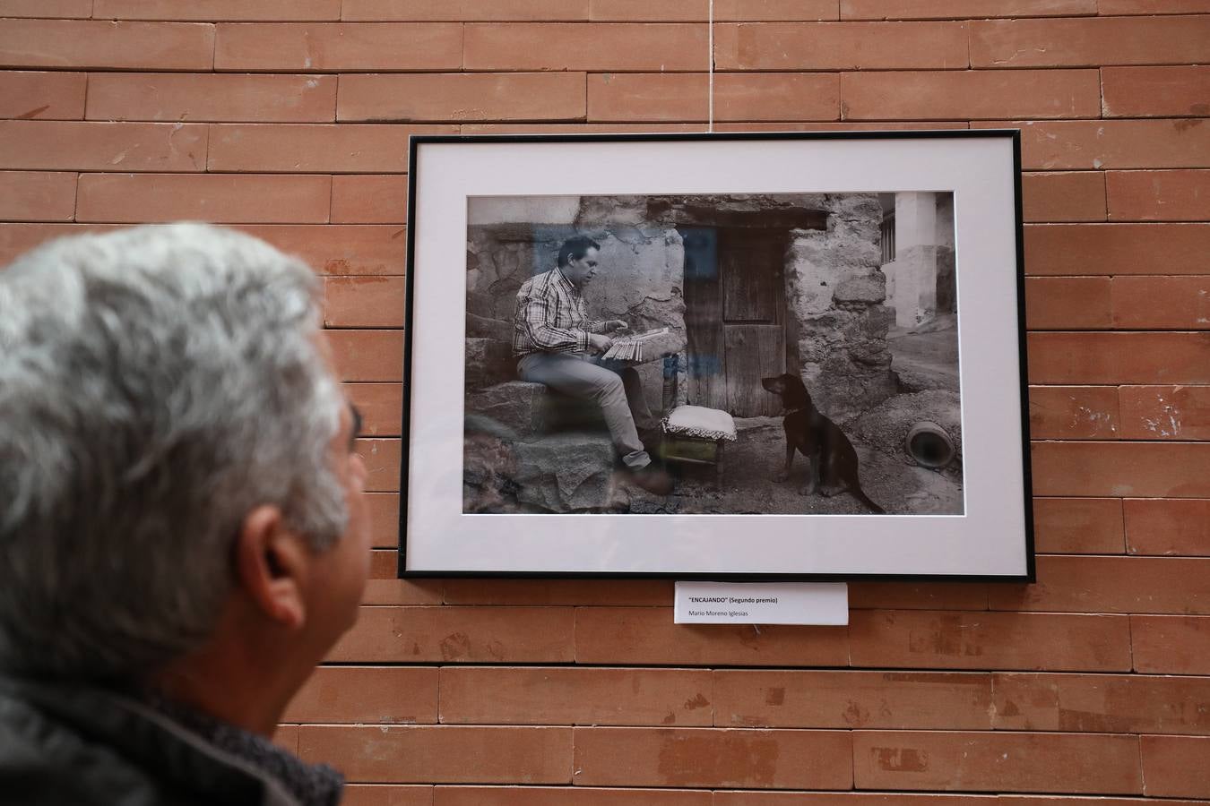 Hasta el 15 de marzo, en el Centro Cultural Alcazaba, se podrá ver la exposición fotográfica 'Igualdad en Positivo'. Se trata de 18 fotografías que reflejan en positivo situaciones de igualdad entre hombres y mujeres en la vida cotidiana, una exposición con el objetivo de contribuir a la lucha por la igualdad real y que forma parte de las actividades conmemorativas del Día Internacional de la Mujer.