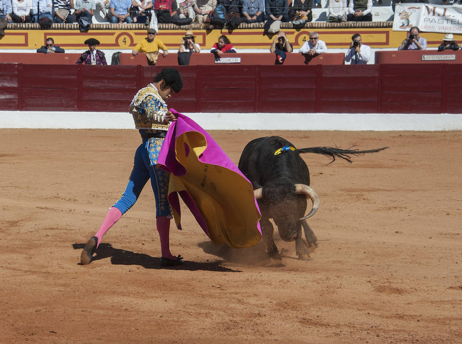 Novillada matinal este sábado en la Feria del Toro de Olivenza 