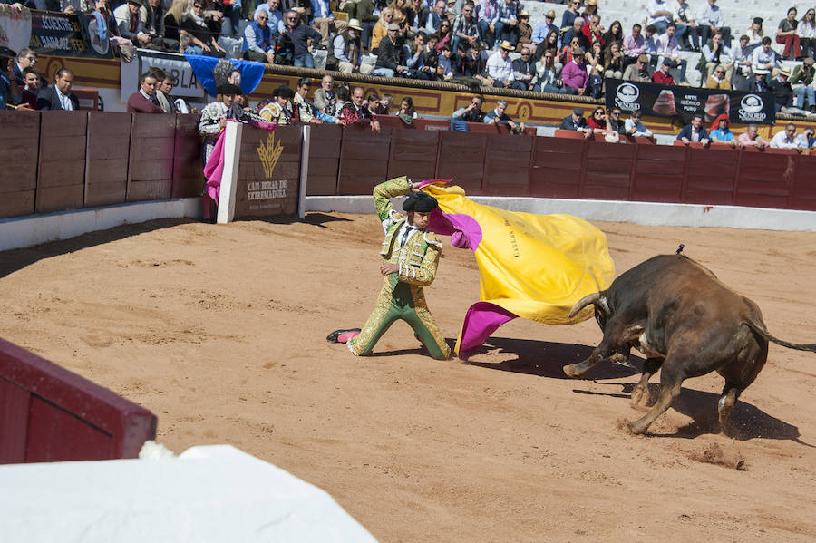 Novillada matinal este sábado en la Feria del Toro de Olivenza 